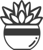 Succulent Studio logo