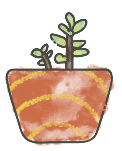 Rainbow Bush